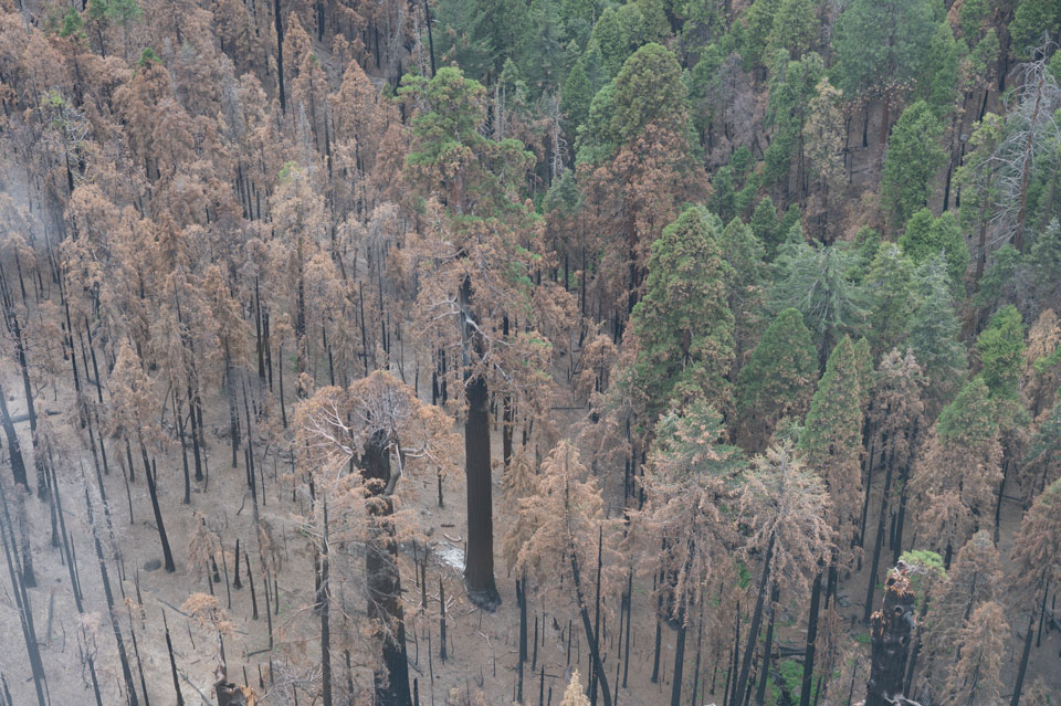 NPS SEKI TonyCaprio 06292021 Board Camp Seen From Helicopter Recon
