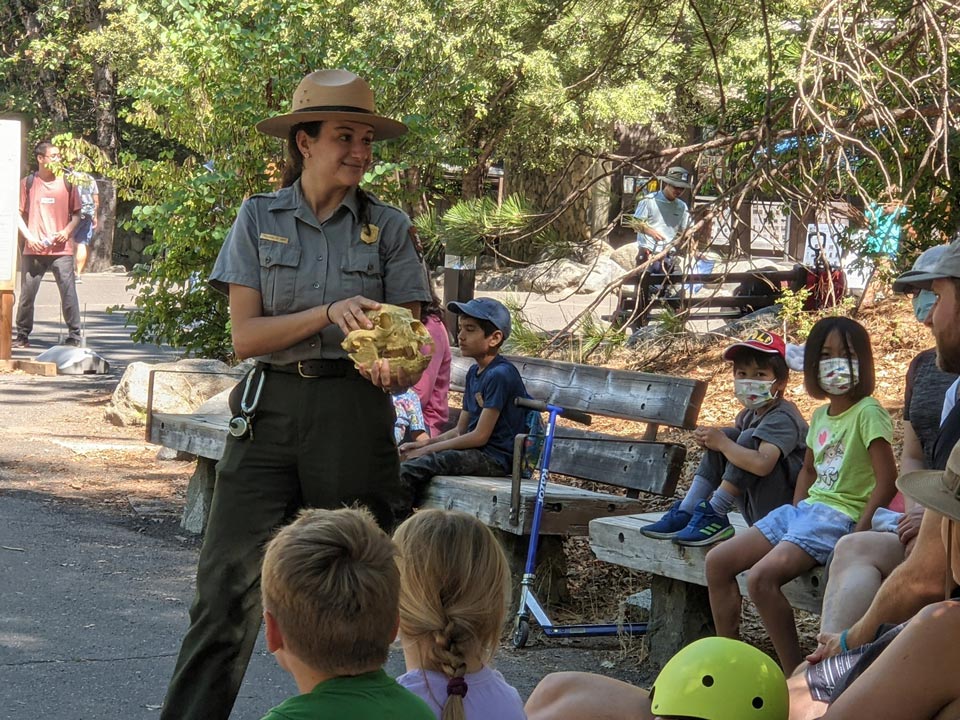 YNP JrRanger