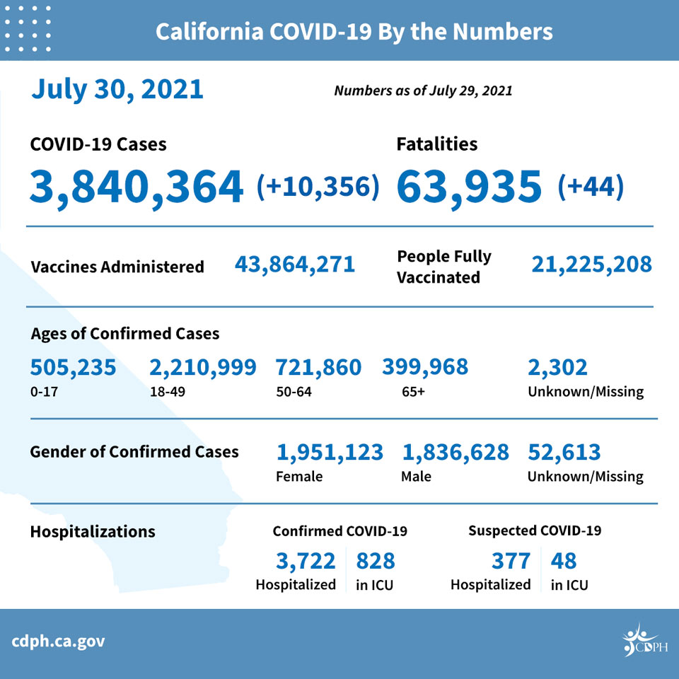 ca31