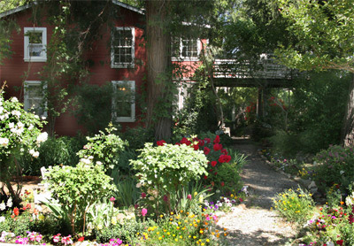 chocolate soup mariposa california credit linda gast sierra sun times