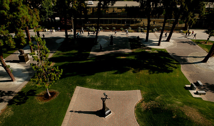 peacegarden FSN1