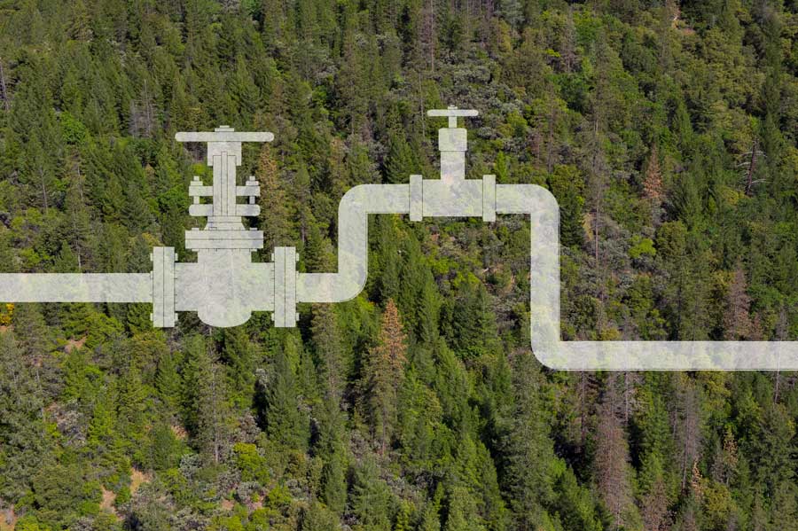 pipeline forest FI