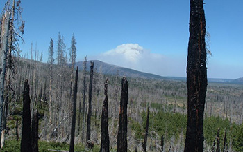 wildfires increasing f