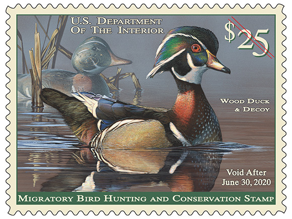 2019 2020FederalDuckStamp5801