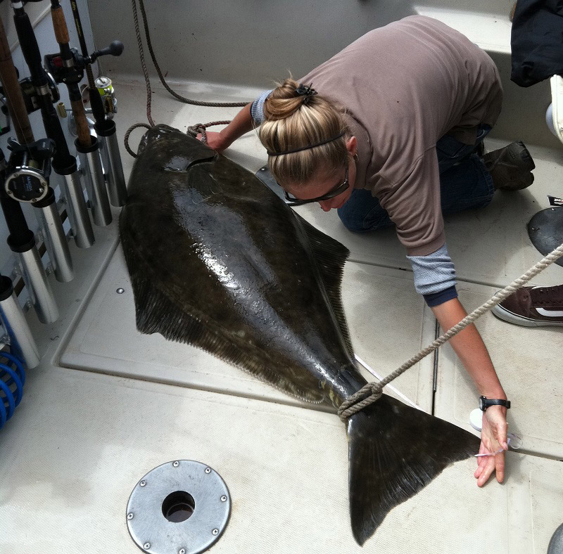 PacificHalibut
