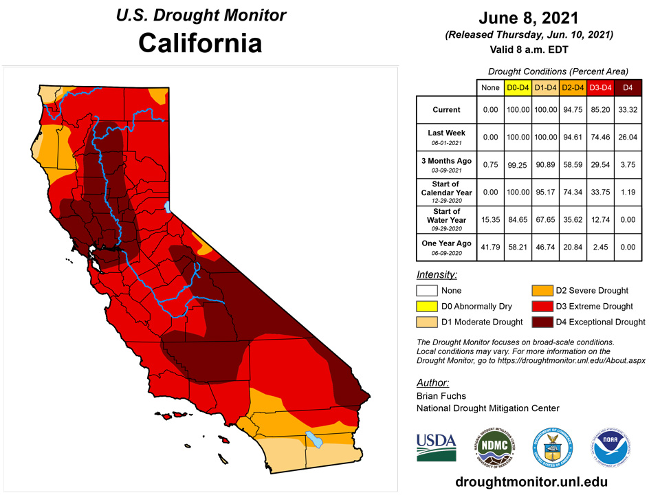 ca20210608 ca trd