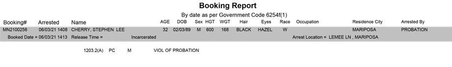 mariposa county booking report for june 3 2021