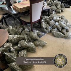 stanislaus california marijuana3