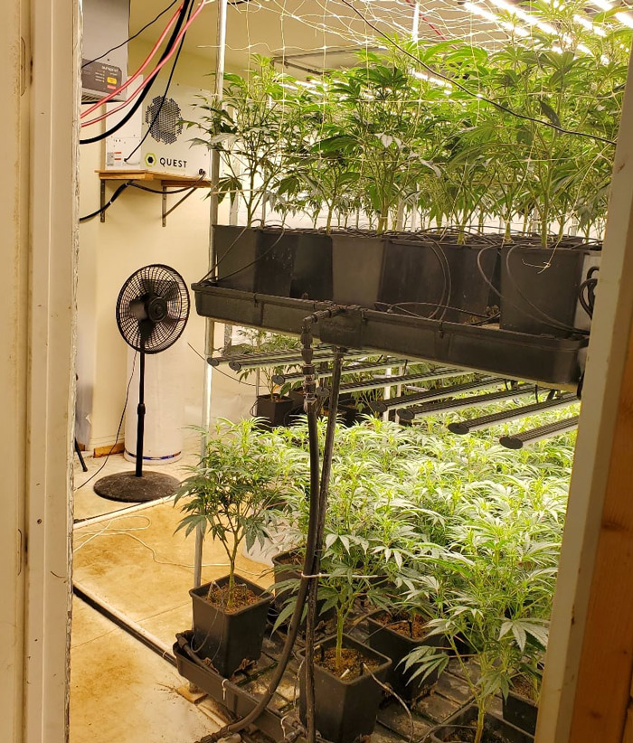 Merced Sheriff grow 7