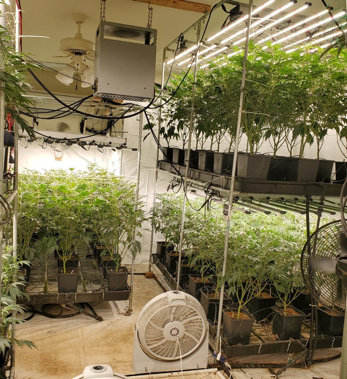 Merced Sheriff grow 8