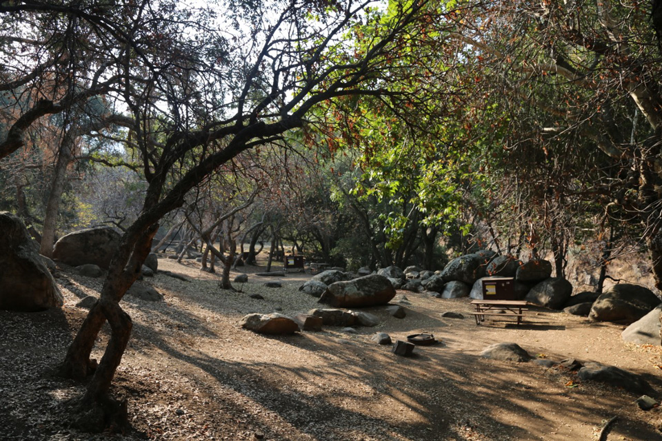 Sequoia and Kings Canyon National Parks