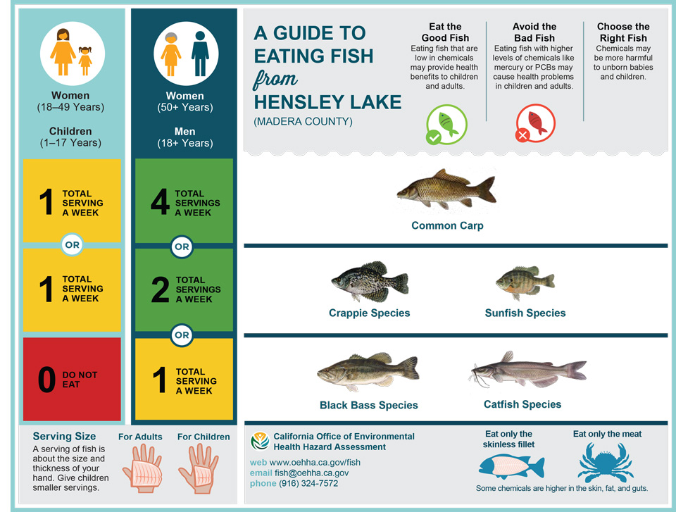 fishadvisoryhensleylakeposterenglish2021