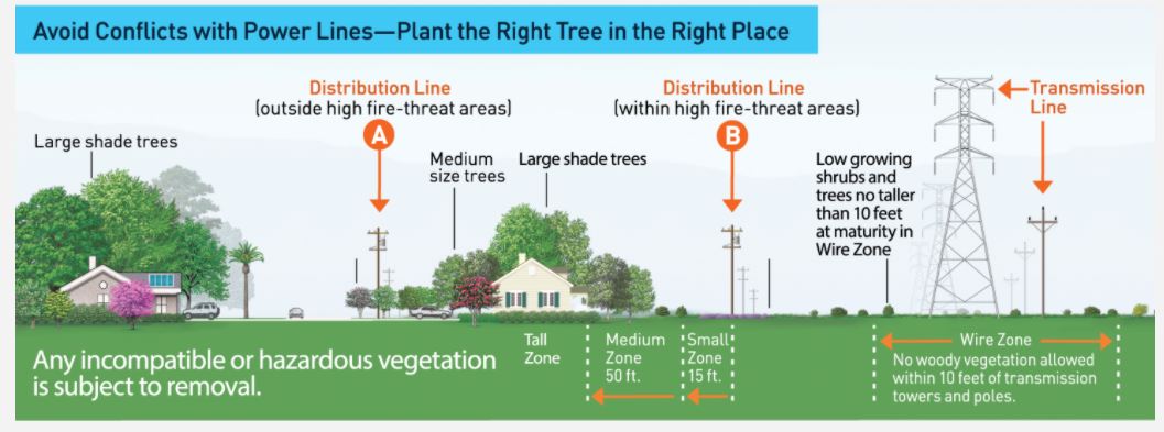 pge tree