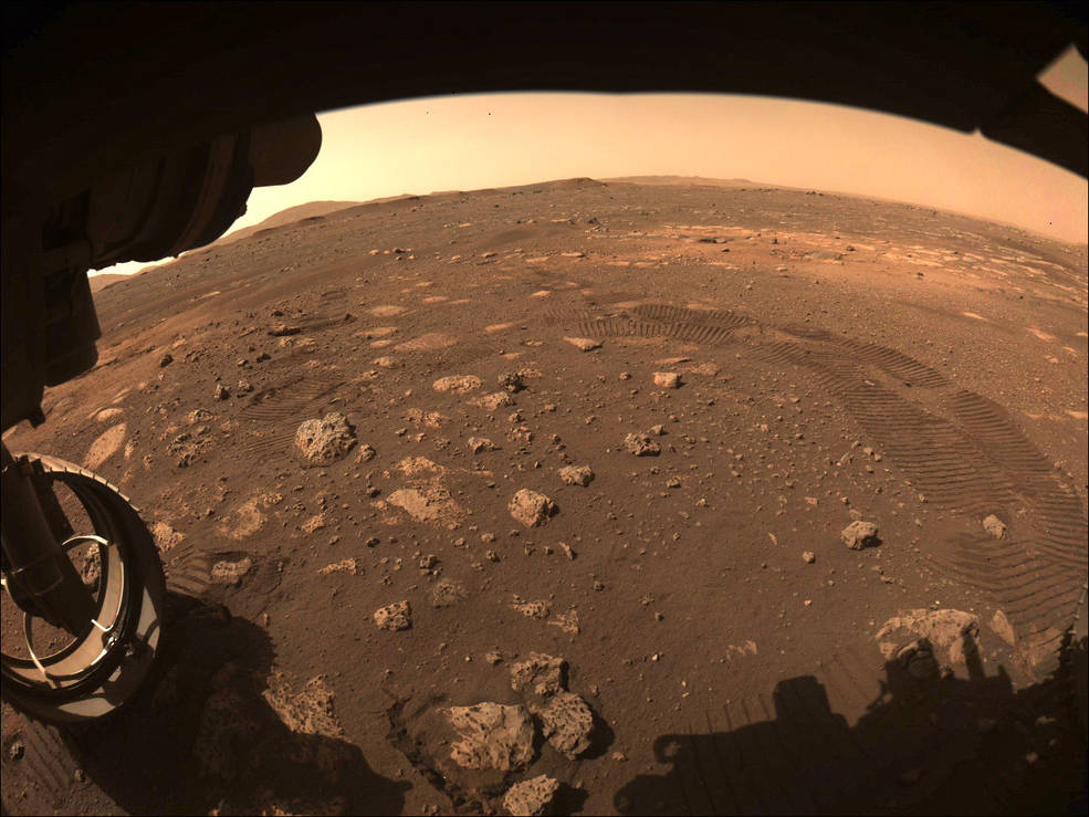 pia24482 4 1041