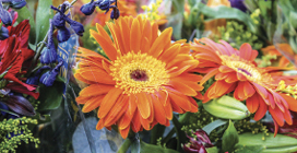 4817 p14 20190612CutFlowersKWH 30 2 fmt