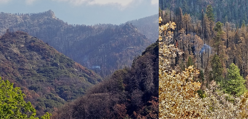 Castle Fire Holdover Board Camp Combined Photos NPS TCaprio