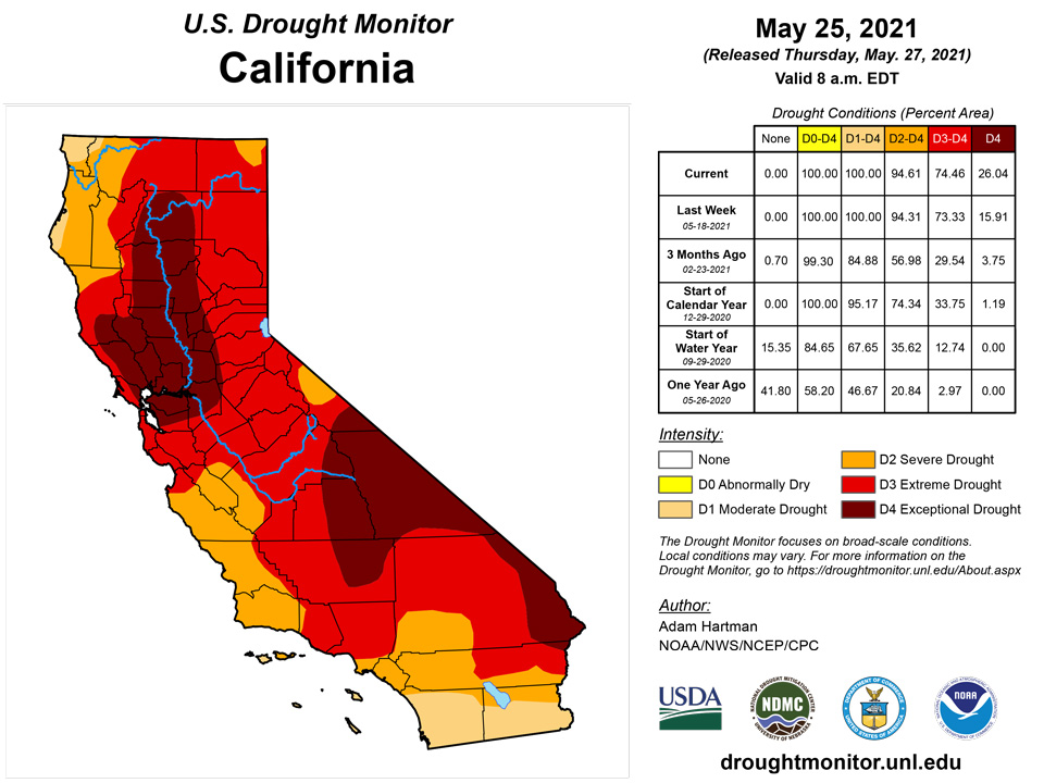ca20210525 ca trd
