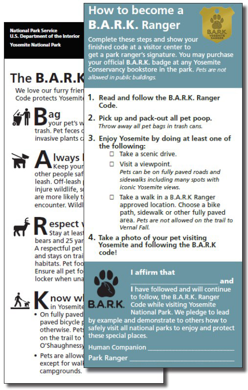 card web 3