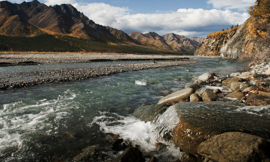 denali national park toklat river photo by tim rains nps