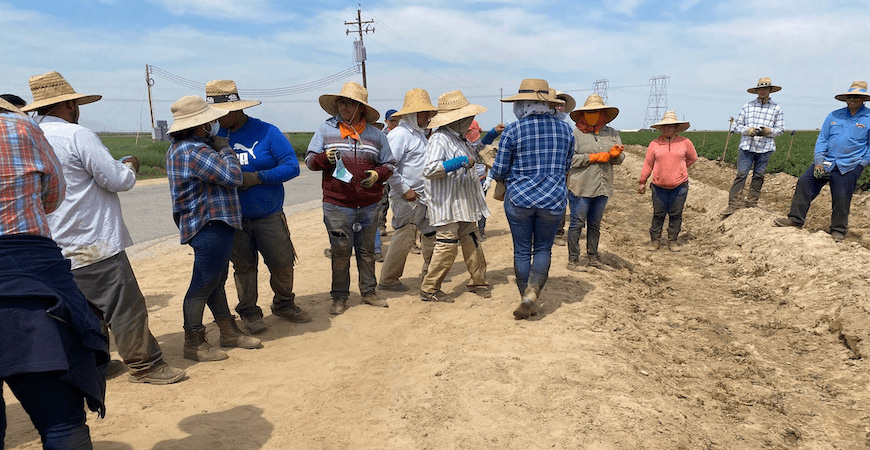 farmworkers edit