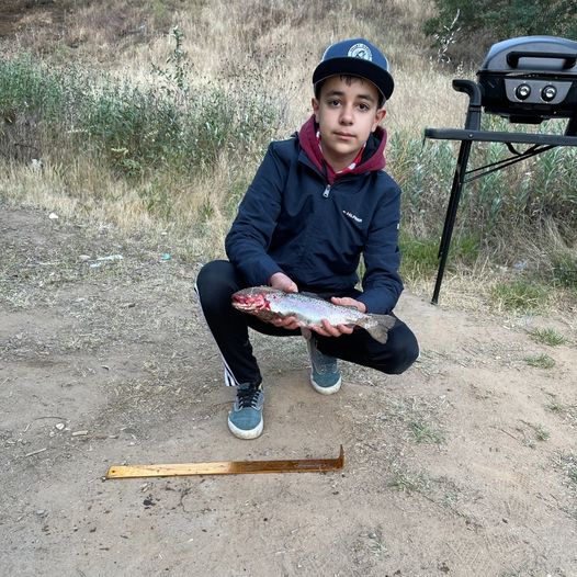 fish2