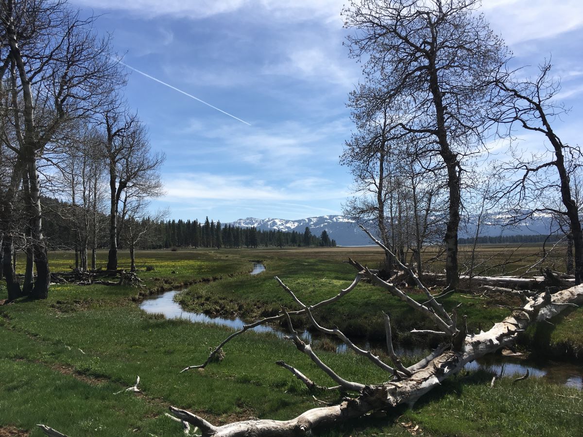 mountainmeadows 1200