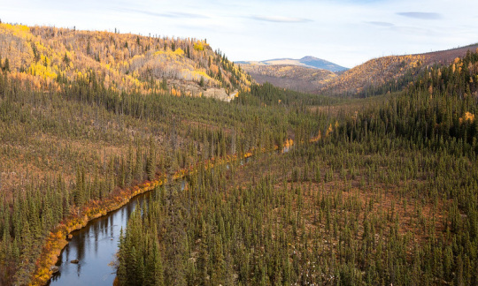obrien creek tributary fortymile alaska blm teri balser