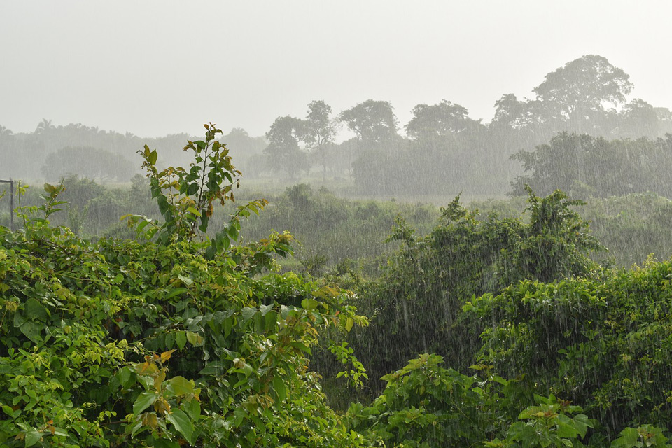 rain 2683964 1280.1