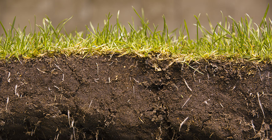 soil cross section hero