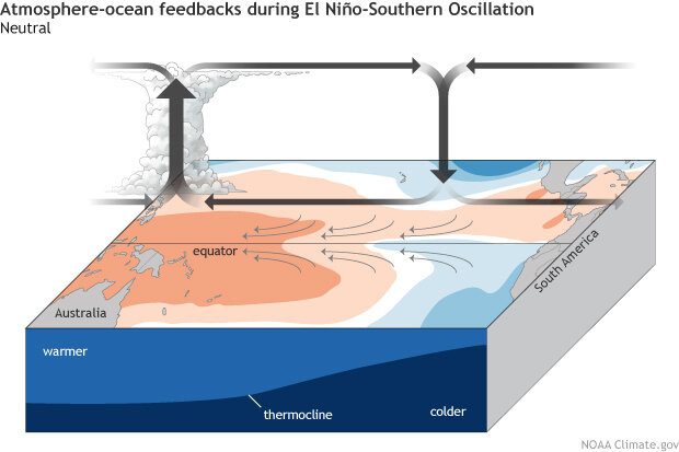 ENSO blog Bjerknes feedback Neutral 620