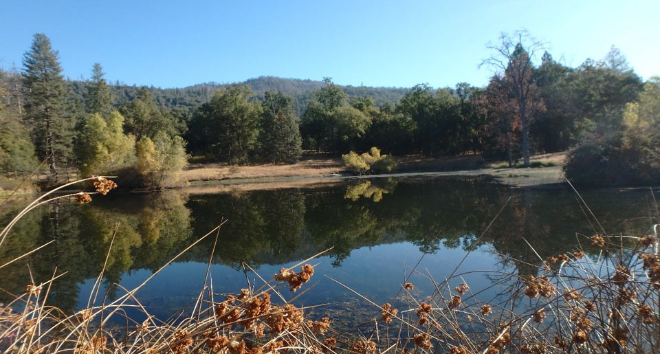 Stookey Preserve Pond