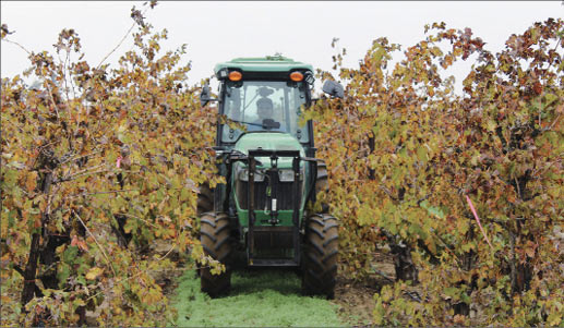wine harvest hecteman ca farm bureau