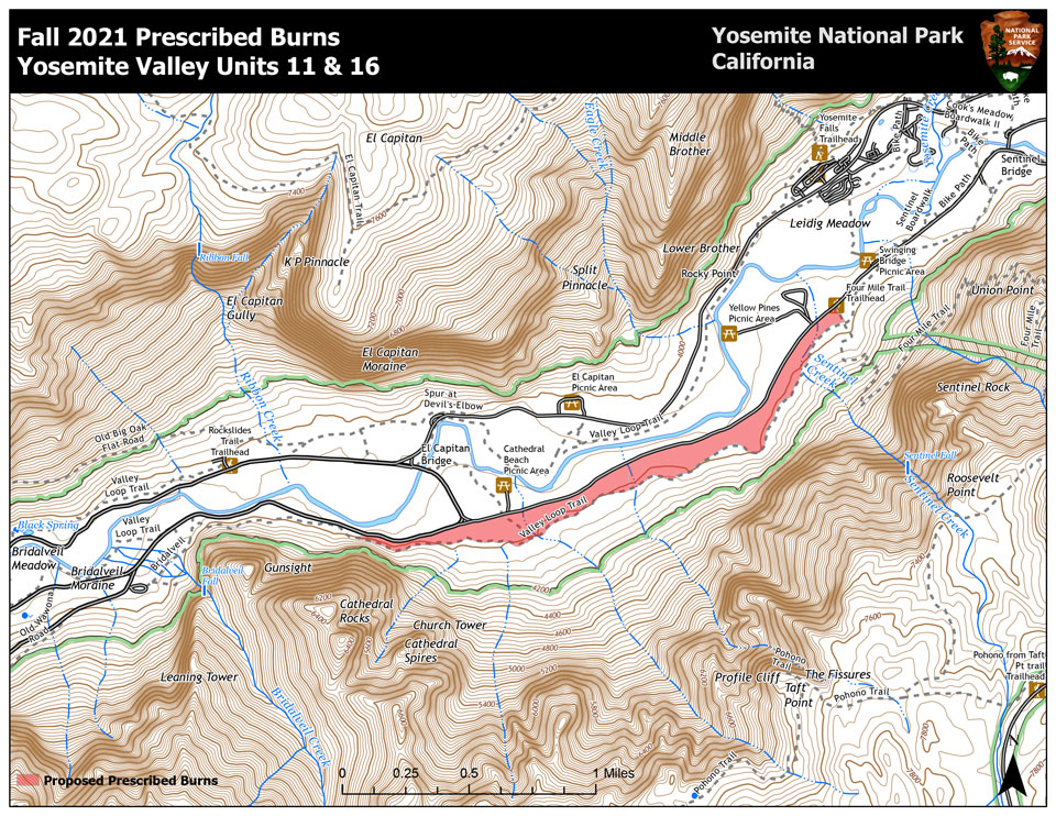 2021 Fall Yosemite Valley 11 16 Rx Proposed
