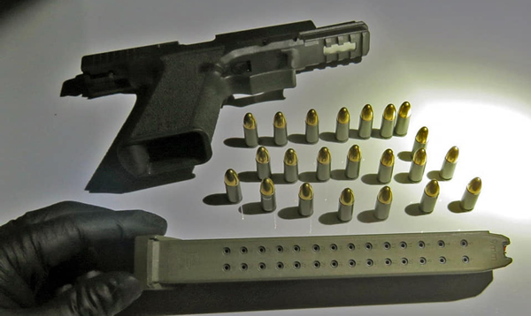 FCSO gun 2