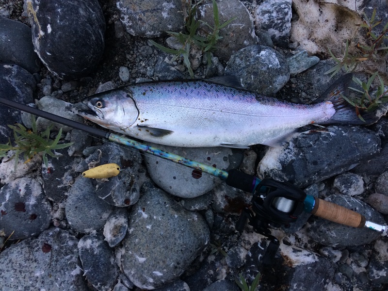 KlamathBasinSalmon