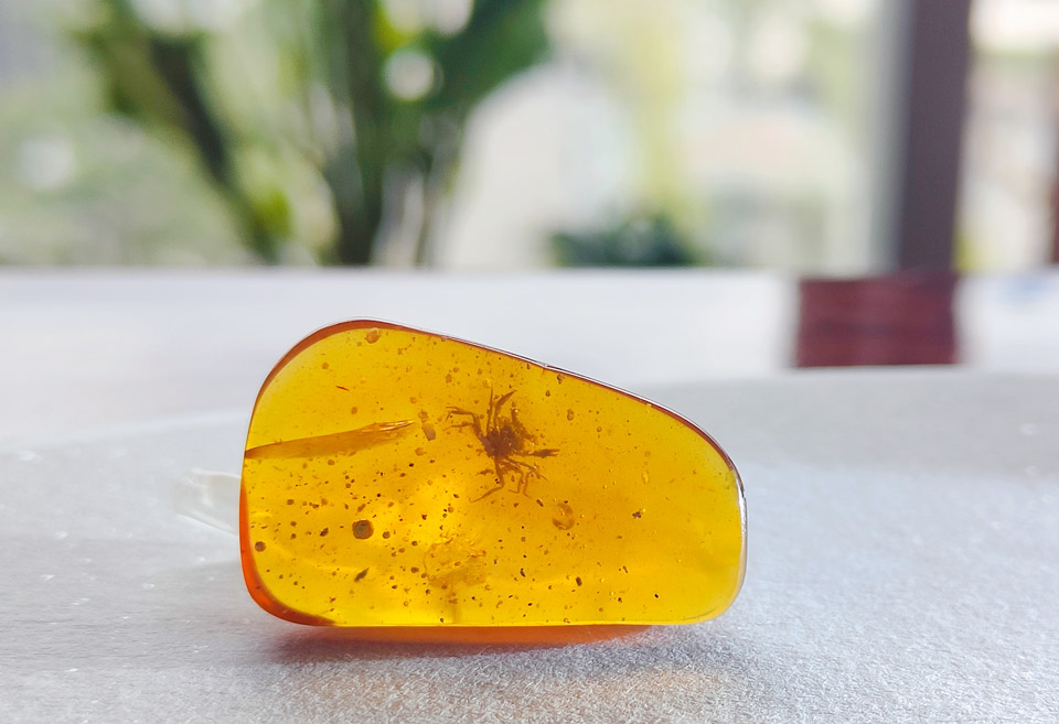 image 05 crab in amber by xiao jia
