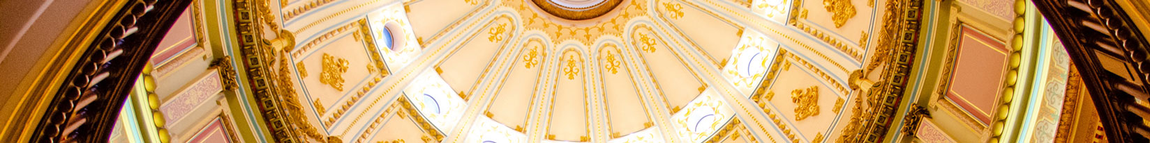 senate bg2 1