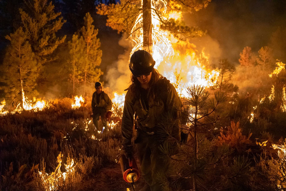 Dixie Fire Joe Bradshaw BLM 3