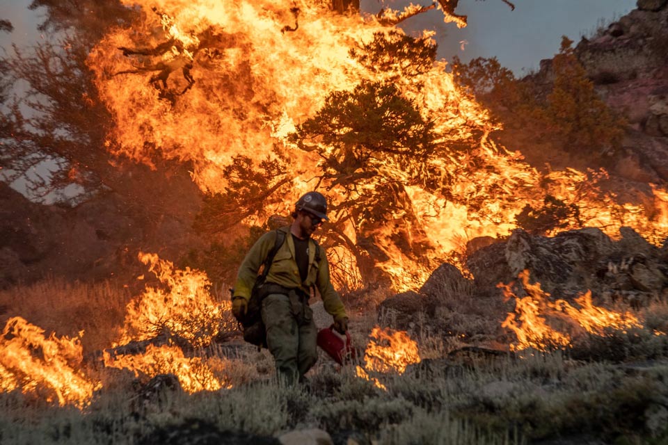 Dixie Fire Joe Bradshaw BLM 4