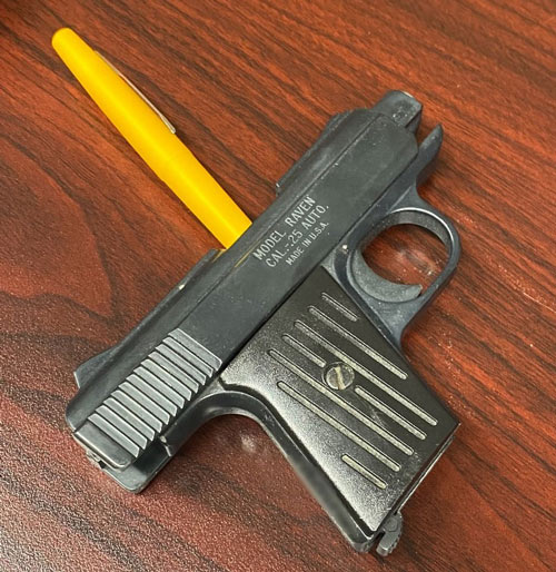 FCSO gun