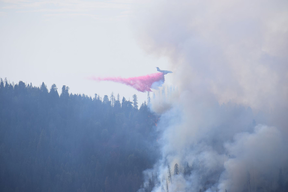 Image 1 nps