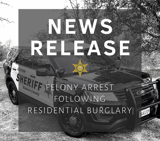 MCSO Felony Arrest