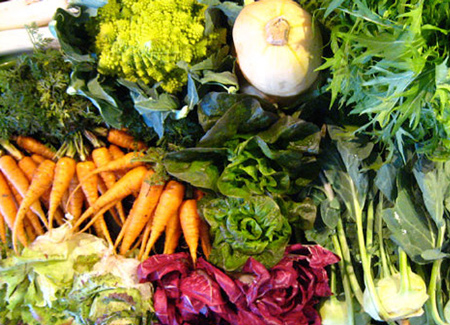 MMG Winter Veg