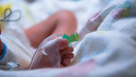 Newborn News