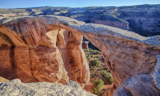 mcinnis canyons national conservation area bob wick blm