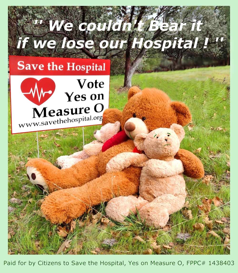 2bears