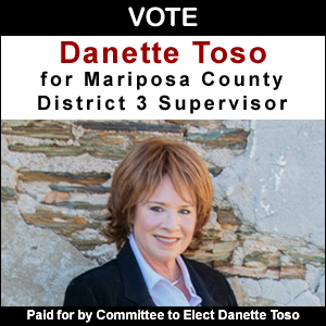Toso election ad