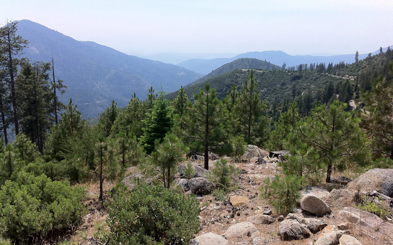 USFS 2