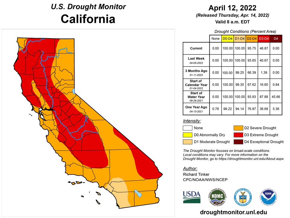 ca20220412 ca trd