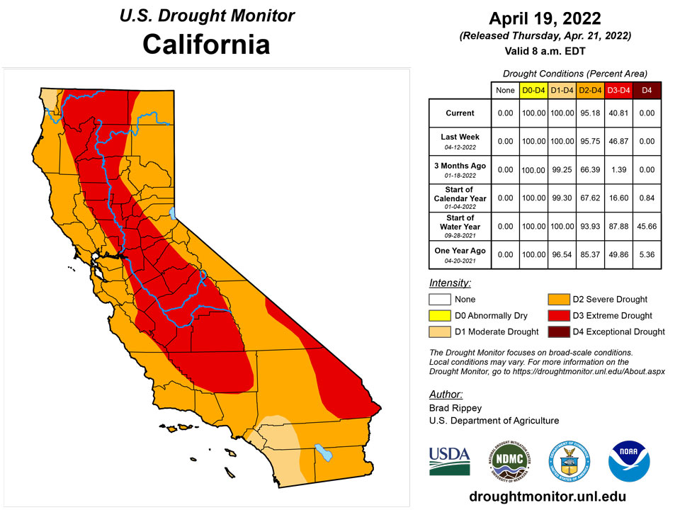 ca20220419 ca trd